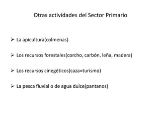     El olivar es uno de los cultivos típicos de la gran propiedad. Hay muchas hectáreas dedicadas al olivo, pero tienen una productividad baja. Frecuentemente se encuentra asociado con otros productos de porte herbáceo, como el trigo o la cebada, o el pasto para el ganado, o bien con viñedo. 