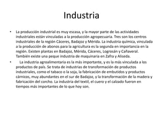     Otros cultivos importantes son el forraje, la remolacha azucarera, el girasol, la soja para aceite y el tabaco. Ganadería    La ganadería es el sector emblemático de a región, aunque su contribución al PIB es menor que la agricultura. Una de las características más destacables es su carácter extensivo. El sector principal es el ovino. Es una actividad tradicional en Extremadura. La cabaña de ovino es la más importante de la región, extendida por toda la región, la de caprino sin embargo, está en franco retroceso y hoy en día es casi marginal.La cabaña bovina es la segunda en importancia. Ha aumentado mucho desde los años 80, sobre todo en vaca de carne y de leche. Para las grandes propiedades es significativa la producción de toro de lidia. 