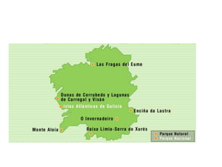 Temperaturas    Por su posición en el planeta Galicia tiene un clima de temperaturas suaves, con una amplitud térmica reducida (entre 8 y 15 ºC), y unas precipitaciones abundantes casi siempre por encima de los 800 mm y cuyo máximo se alcanza en invierno y el mínimo en verano. En verano puede haber uno o dos meses a aridez, lo que nos habla de la cercanía del clima mediterráneo. Las medias de las temperaturas mínimas se dan en invierno y están entre los 7 ºC de las zonas más frías y los 13 ºC, mientras que la media de las máximas están entre los 15 ºC los 24 ºC de las zonas más cálidas en verano. No obstante, existen grandes diferencias de temperaturas a causa del efecto de las montañas sobre las temperaturas. En las sierras prelitorales que superan los 1.000 metros y el macizo galaico-leonés las temperaturas son frías en invierno y frescas en verano. Incluso hay uno o dos meses de heladas seguras y de precipitaciones en forma de nieve. 