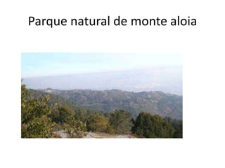 Precipitaciones    Aunque en general Galicia es una región lluviosa existen grandes contrastes. En la sierra de Barbanza, entre las rías de Muros y Arosa, se recogen 3.372 mm al año, el mayor de Europa, mientras que en las depresiones orensanas se recogen unos 600 mm al año. En general, en el conjunto de Galicia se recogen unos 1.000 mm al año, que ascienden a más de 1.500 en las sierras prelitorales y el macizo galaico-leonés. En las sierras de Faro y Suido se superan los 2.500 mm. La costa es una zona en la que se recogen menos de 1.000 mm, debido a que dejan pasar las masas de aire húmedo hasta las sierras prelitorales donde actúa el efecto barrera. Los días de sol aumentan del norte a sur y disminuyen de la costa al interior.