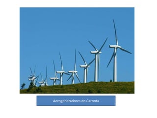 GanaderíaEl vacuno es la principal actividad ganadera. No obstante, su importancia relativa sobre el conjunto de España tiende a decrecer al representar en 2004 el 15,6 por ciento del ganado vacuno por el 22,3 por ciento de 1973. En cifras absolutas el número de cabezas permanece estancado en torno al millón tras el pico registrado en 1986 con 1.147.883 cabezas. Asimismo, se constata una variación en el destino del ganado bovino donde el porcentaje de vacas para ordeño desciende paulatinamente hasta alcanzar el 40,52 por ciento del total en 2004 aumentado el aprovechamiento para producción de carne. Las cabañas caprina y ovina tienen una importancia residual aunque creciente. Las actividades de ganadería industrial registran evoluciones dispares. Mientras se aprecia una disminución en términos absolutos en la cabaña porcina y en la avicultura de puesta. Por el contrario, la evolución de la avicultura de carne es espectacular pues en 2003 se sacrificaron para carne 74.616.000 aves, lo que supone un incremento del 228,7 por ciento respecto de los valores de 1973