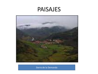    La decisión de las cortes constitucionales declarando La Rioja como provincia independiente vino en octubre de 1812, y en enero de 1822 se creó por decreto la provincia de Logroño, ocupando en su totalidad el área geográfica e histórica de La Rioja. Sin embargo, Fernando VII anuló estas decisiones y los pueblos de La Rioja fueron una vez más divididos entre las provincias de Burgos, Soria, Alava, Navarra y Aragón. Finalmente, en noviembre de 1833, un decreto real esbozó una versión menor de La Rioja que, en forma de la provincia de Logroño, ha permanecido hasta el presente.