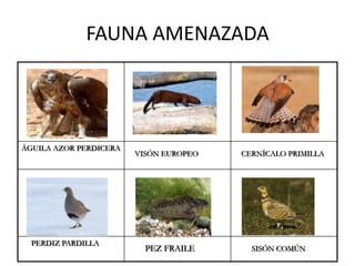 DEMOGRAFÍALa Rioja cuenta, según datos del INE de 2009, con una población de 321.702 habitantes, lo que supone 4.681 más que en el año 2008, con una densidad de población de 63,76 habitantes por km2.9 Es la Comunidad autónoma con menor población de España. Su capital, Logroño, con 152.107 habitantes, es la ciudad más poblada.Según los mismos datos, de los 174 municipios de la comunidad, en 152 hay censados más hombres que mujeres, en 3 los mismos y en 19 más mujeres que hombres. De estos últimos las diferencias son pequeñas, salvo en la capital donde se encuentran 4.481 mujeres más que hombres.