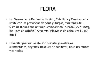 ECONOMÍA Y EMPLEOSector primario: 12,6 %Sector secundario: 41%Sector terciario: 46,4%El PIB a precios de mercado, ha experimentado un incremento, desde la incorporación de España en la Unión Europea (UE), tanto para el conjunto nacional como para La Rioja en particular. La Comunidad presentaba un PIB a precios de mercado de 1997 que ascendía a 360.713 millones de pesetas, frente a los 245.964 que presentaba en el año 1986. La explicación del incremento radica en el fuerte crecimiento del PIB en el periodo 1986-1991, en el que se produjo una variación del 5,6%, variación mayor que la alcanzada en el mismo periodo para España, cuya oscilación llegó a 4,6 puntos porcentuales. La Rioja, por lo tanto, confirma en este periodo un esfuerzo productivo superior al del conjunto nacional, comportamiento que se ha seguido manteniendo hasta la actualidad.