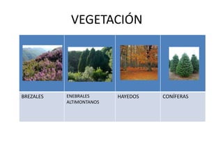 SECTOR PRIMARIOLa agricultura vasca tiene como principal tarjeta de visita al vino de la Denominación de Origen Calificada Rioja, que genera cerca del 35% de los ingresos totales del sector primario. En la comarca de la Rioja Alavesa se asientan empresas internacionalmente reconocidas, como Bodegas Marqués de Riscal, Faustino o Nuestra Señora de Remelluri, que logran los primeros premios en los grandes concursos vitivinícolas y que están presente en los mejores restaurantes del mundo. La agricultura, proporciona cerca de 210 millones, la ganadería 170 millones y el sector forestal cerca de 100 millones de euros.