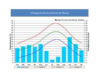 HistoriaLos recuerdos más antiguos de humanidad en la Región de Murcia se remonta a más de un millón y medio de años. Tan sólo existen algunos restos de silex retocados a modo de herramientas. En Moratalla, Cieza y Yecla se han hallado valiosos restos de pinturas rupestres. La cultura del Argar se extendió por estas tierras.En el período ibérico se registra un desarrollo agrícola y ganadero, también una intensa actividad comercial, que han dejado numerosos testimonios que se encuentran en varios museos de la región.