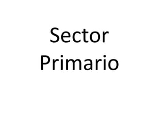 Medio FísicoClima: El clima de Murcia es mediterráneo con rasgos semiáridos. La sequía marca los paisajes, las actividades agrarias, rurales y urbanas. Las tierras surorientales de España en las que se insertan las murcianas, constituyen el territorio más seco de Europa.Las precipitaciones anuales son inferiores a los 350 mm. La altitud es el principal responsable de que ciertas áreas puedan rebasar los 600 mm anuales. Dos rasgos caracterizan las lluvias murcianas: la irregularidad interanual, normal de los países áridos, y la concentración de las lluvias en pocos días, con aguaceros brutales de más de 100 mm en un día. Cuando estas lluvias duran durante pocas horas se produce la catástrofe, las "riadas“.Las temperaturas medias anuales están entre los 15 y 19º. Las medias mensuales no bajan de valores moderados en la mayor parte de la provincia. Los inviernos son cortos y los veranos largos y calurosos. La insolación pasa las 2.800 horas de sol anuales e incluso las 3.000 en algunos sectores meridionales. 