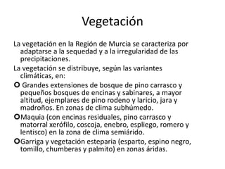 Relieve: El territorio murciano esta en la parte oriental de las cordilleras Béticas, que se direncian tres grandes unidades morfoestructurales.    El territorio de la región de Murcia es bastante montañoso y con muchos accidentes; las sierras pasan normalmente los 1.000 metros e incluso los 2.000. Un grupo de valles, cubetas, depresiones, corredores intramontanos, llanuras y cuencas parciales, pasan o se instalan entre las principales alineaciones montañosas. La Región de Murcia está constantemente marcada por la presencia de sierras, sin embargo, los paisajes auténticamente montañosos no existen más que en el extremo occidental, y localmente en sierra Espuña y El Carche. 