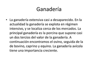 PoblaciónLa población murciana con unos 1.115.068 habitantes (en 1998) se ha multiplicado por tres en algo más de un siglo. Este aumento ha tenido lugar por el elevado crecimiento vegetativo, y a pesar de la fuerte emigración. La estructura de la población por grupos de edad era en 1996 de 28,3% de menores de 20 años, 58,8% para los de 20 a 64 años, y 13,2% para los mayores de 65 años. La tasa de nacimiento para el mismo año era 11,62 (comparada con el 9,14 de España en conjunto); la tasa de mortalidad a nivel regional era 7,97 (8,90 para España); la tasa de mortalidad infantil, 7,22 (contra 5,97 para España). El crecimiento vegetativo regional era 3,65 (0,24 para España), y el índice sintético de fecundidad 1,42 (frente a 1,15 para España).     La densidad media para el año 1998 era de 99 habitantes por km2, superior a la media española, sin embargo la distribución es muy desigual; se registran grandes contrastes entre unas comarcas y otras.