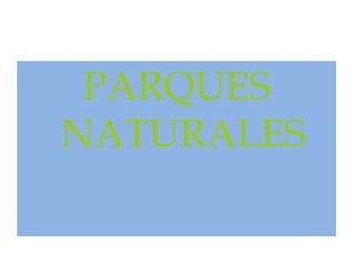 Parque Nacional de DoñanaDoñana es un espacio natural protegido  que cuenta con 53.709 ha. Comprende el Parque Natural de Doñana y el Parque Nacional de Doñana, su gran extensión de marismas acoge durante el invierno muchas especies de aves acuáticas, que suelen alcanzar cada año las 200.000 aves. Con diferentes instituciones científicas en su interior que velan por un desarrollo adecuado de las comarcas limítrofes y la conservación de algunas especies muy delicadas que habitan en él, se considera la mayor reserva ecológica de Europa. Fue declarado Patrimonio de la Humanidad por la Unesco en 1994.