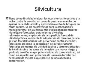 EconomíaLa Región es agrícola debido a su clima y sus tierras fértiles. Tras las sequías de los años 1990, la construcción y el turismo han sido una de las bases de la economía murciana con empresas actuales como Polaris World, siendo un sector fuertemente impulsado por el Gobierno Regional como con el polémico megaproyecto de Marina de Cope, situado en parte del Parque Natural de Cabo Cope y Puntas de Calnegre.Aun así, la agricultura sigue siendo un motor importante de desarrollo en la Región, la cual es considerada la Huerta de Europa.También tiene relevancia la industria, como la energética y petro-química, concretamente en el polo industrial del valle de Escombreras , la conservera y alimentaria, la del mueble, la farmacéutica o la naval Sin embargo, el sector que más población murciana ocupa es el terciario. Ciudades como Murcia son auténticos puntos de intercambio y de atracción comercial no sólo para el resto de la Región de Murcia, sino también para importantes zonas de las provincias vecinas