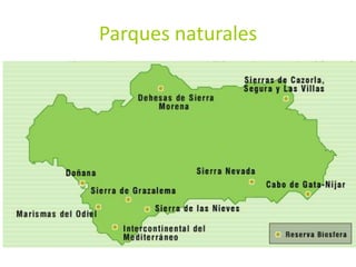 Parque nacional de Doñana