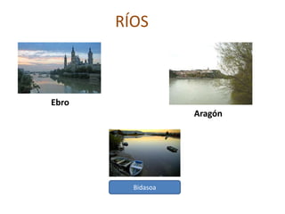 INTRODUCCIÓNNavarra , denominada oficialmente Comunidad Foral de Navarra es una comunidad foral española(comunidad autónoma con régimen foral propio) situada en el norte de la Península Ibérica. Limita al norte con Francia (departamento de Pirineos Atlánticos), al este y sureste con la comunidad autónoma de Aragón (provincias de Huesca y Zaragoza), por el sur con la de La Rioja y por el oeste con la del País Vasco (provincias de Álava y Guipúzcoa). Posee un exclave (Petilla de Aragón) rodeado totalmente por la provincia aragonesa de Zaragoza. Es el territorio correspondiente a la Alta Navarra del Renacimiento (la Baja Navarra es parte de Francia).