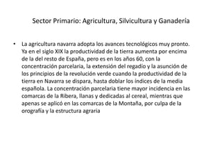 RÍOSEbroAragónBidasoa