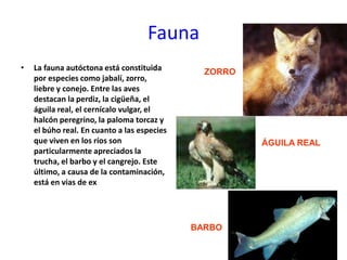      Los servicios sanitarios son una de las actividades más potentes en Navarra, hasta el punto de que su área de influencia alcanza a toda España.  Los servicios educativos universitarios también tienen un área de influencia que alcanza toda España, sobre todo los vinculados a la sanidad y las nuevas tecnologías.      El turismo es un sector en expansión. Se localiza en las montañas del Pirineo. Es un turismo de calidad poco numeroso pero con gran poder adquisitivo del que se aprovechan las comarcas menos industrializadas que buscan el contacto con la naturaleza. Debido al auge del turismo rural es está promocionando este sector. También hay un turismo itinerante a lo largo de camino de Santiago, que tiene dos ramales, uno que entra por Roncesvalles pasa por Pamplona, Puente la Reina y Estella. El otro ramal entra por Somport (Aragón) y pasa por Jaca, Sangüesa, Tafalla y se une al otro ramal en Puente la Reina. Además, Pamplona posee una de las fiestas más internacionales de España, los Sanfermines, que concentra en la semana del siete de julio a gran cantidad de personas procedentes de todo el mundo. Aunque de mucha importancia para el sector turístico tiene un carácter muy puntual. 