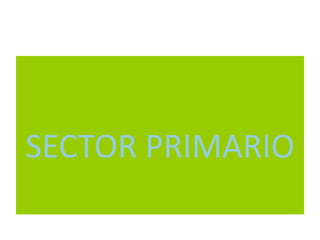 El producto estrella de Andalucía es el olivar, sobre todo el aceite. Jaén y Córdoba son las regiones productoras más importantes del mundo. Le siguen todo tipo de productos hortícolas, que se cultiva en función de la demanda esperada. Entre estos cabe destacar el cultivo de la fresa en la costa onubense. En el valle del Guadiana y la vega de Granada, a parte del olivar, encontramos los cultivos cerealísticos y la remolacha azucarera. Remolacha azucarera