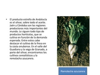 La cabaña de porcino ha sufrido una transformación. Se ha pasado de la producción doméstica a las grandes explotaciones semiextensivas en las que se cría cerdo ibérico. Málaga, Sevilla y Granada son las provincias con más cabezas pero el porcino onubense, donde se encuentra el municipio de Jabugo, es la más rentable.     En Andalucía hay una importante cabaña equina, sobre todo de caballos de gran calidad, pero también mulas y burros. Esta cabaña ya no está, mayoritariamente, dedicada a las labores agrícolas sino a las de ocio. Se reparte casi por igual por todo el país, pero destacan las provincias de Sevilla, Málaga Huelva y Cádiz.     La cabaña avícola se concentra, estabulada, en torno a las grandes ciudades Sevilla, Granada, Málaga, Córdoba, etc. Se trata de explotaciones intensivas muy modernas. Junto a estas explotaciones se encuentran otras dedicadas a la cría del conejo. 