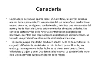 Organización política y territorial:     Organización política:     La organización y la estructura política del Principado de Asturias se rige por el Estatuto de Autonomía, en vigor desde el 30 de enero de 1982. Según el Estatuto, los órganos institucionales del Principado de Asturias son tres: la Junta General, el Consejo de Gobierno y el Presidente. La forma de gobierno del Principado es parlamentaria: El Presidente del Principado de Asturias es el del Consejo de Gobierno, el jefe del poder ejecutivo, y responde políticamente ante la Junta General, la cual, a través de una moción de censura o una cuestión de confianza puede cesarle en sus funciones.     El poder legislativo recae sobre la Junta General, integrada por los representantes del pueblo asturiano. Entre sus funciones están la aprobación de los presupuestos, y la orientación y control de la acción del Consejo de Gobierno. La Junta está integrada por 45 diputados, electos por un período de cuatro años por medio del voto universal.