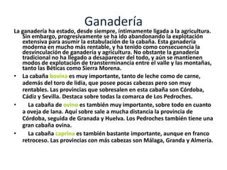 PescaLa pesca es una actividad tradicional de las costas andaluzas que aporta un componente esencial a la dieta alimenticia de los andaluces. La flota pesquera es la segunda en importancia de la nación, con un área de pesca muy extensa, que sobrepasa las aguas andaluzas. Hasta prácticamente la edad contemporánea la pesca fue una de las pocas actividades desarrolladas en el litoral capaz de sostener población debido a lo insalubre de estos espacios en el caso del litoral atlántico y al problema de la piratería morisca en el Mediterráneo.En la actualidad existen graves problemas de sobreexplotación debido a los adelantos en la técnicas de pesca y en los buques pesqueros de gran calado y dotados de potentes congeladores que son capaces de faenar durante varias semanas. Esta modernizada pesca está asociada a las actividades de altura, mientras que la pesca litoral, salvo por la motorización de las embarcaciones, sigue siendo una actividad muy artesanal.
