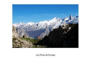 Economía:Sector primario.La agricultura asturiana tiene aún gran cantidad de explotaciones muy poco renovadas. La explotación clásica extensiva es la casería.La mayoría de las explotaciones son gobernadas por empresarios que tienen edades avanzadas y en general el reemplazo generacional no está asegurado, por lo que cabe esperar que en un futuro más o menos próximo tiendan a desaparecer. En Asturias también encontramos explotaciones modernas cuya producción está íntegramente dirigida al mercado y vendida a la industria agroalimentaria. Estas explotaciones están regidas por familias cuyos ingresos principales se obtienen de la actividad agropecuaria. Predominan las explotaciones de tamaño medio.     El cereal panificable histórico fue la escanda, el trigo apenas se cultiva. Si hay producciones notables de cebada y maíz, pero en general están destinadas al forraje para el ganado. Sólo la producción de manzanas para sidra escapa a la especialización ganadera. Asturias es una región en la que la agricultura es muy difícil ya que la mayor parte de ella está declarada como agricultura de montaña.    