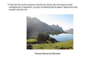     El sector terciario es, como en todas las economías desarrolladas, el que más contribuye al PIB y el que más empleos produce. El carácter fuertemente urbano de la región central hace que aquí se acumule la mayor parte de sector servicios. Destaca el comercio, en el que se pueden encontrar gran cantidad de grandes superficies. También es muy importante el sector financiero, ya que las empresas necesitan de bancos potentes para sus inversiones.El turismo es un de los sectores más estables de Asturias. No es muy numeroso, ya que el clima no favorece el turismo de sol y playa, pero se remonta a los primeros tiempos de la explosión turística. na de las más dinámicas de España.