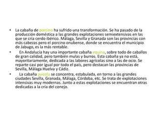  CazaEn la actualidad el recurso cinegético mantiene su importancia en todo el territorio andaluz: el ciervo y jabalí , son dentro de la caza mayor las más importantes. No obstante, existen otras especies de gran valor cinegético: la cabra montés, el muflón , el gamo , el corzo, etc. A estas especies de caza mayor, hay que sumar otras tantas de caza menor, entre las que destacan: la perdiz , el conejo , la liebre , la codorniz , el zorzal , la paloma torcaz , etc.La caza, en la actualidad, ha perdido su carácter de actividad para la obtención de alimentos. Y se ha convertido en una actividad de ocio ligada a los espacios serranos, donde supone una actividad complementaria, nada despreciable, a la forestal y ganadera (en grave crisis), debido a sus importantes ingresos económicos.Si bien la caza ha supuesto la desaparición de muchos recursos, su ordenamiento ha provocado la proliferación de muchas especies, a destacar las grandes rapaces como el buitre negro o el águila imperial y depredadores como el lince o el lobo.
