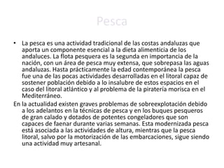 MUFLÓNGAMOPALOMA TORCAZ