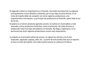 Mapa físico de las Islas CanariasLocalización de las Islas Canarias