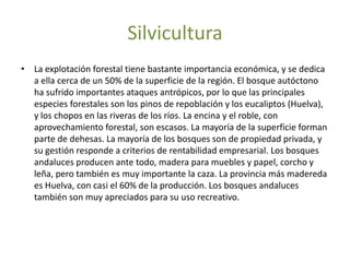 PIRITABENTONITAMÁRMOL