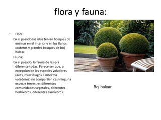 Demografía:El archipiélago ha sufrido un gran crecimiento demográfico tras el boom turístico de los años 1960: en el periodo 1970-2005, éste fue del +76,10%, frente al +29,90% de la media española. En el año 2005, la población total de las islas ascendía a 983.131 personas.Según el padrón, un 15,75% de la población balear era de nacionalidad extranjera, siendo la primera Comunidad Autónoma y la segunda provincia de España con mayor número de residentes foráneos. Un 39,66% de los extranjeros provienen de la Unión Europea, destacando los alemanes (14,59% del total), los británicos (9,58%), los italianos (5,46%) y los franceses (3,60%). Un 34,34% viene de Iberoamérica, destacando por su número los ecuatorianos (10,32%), los argentinos (7,62%), los colombianos (5,95%) y los uruguayos (2,39%). Un 11,02% viene de África del Norte, principalmente de Argelia y Marruecos, y un 7,54% proviene de Europa del Este, sobre todo de Rumanía y Bulgaria.