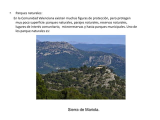 Época moderna:La llegada al poder de Carlos I de España en 1518 dio lugar a importantes conflictos sociales como las revueltas de las Germanías de los gremios y agricultores valencianos contra diversos virreyes y lugartenientes. Por su parte, el descubrimiento de América originó un desplazamiento del comercio mundial hacia el Atlántico, provocando una disminución del peso relativo del reino, mientras que los ataques de los piratas berberiscos amenazaban continuamente la costa. La expulsión de los moriscos (1609) afectó especialmente al reino, que vio perder a la tercera parte de su población.Tras los Decretos de Nueva Planta en 1707, se derogaron los fueros y las instituciones del reino, creándose una nueva organización administrativa, basada en la que existía en la Corona de Castilla. Posteriormente, durante el siglo XVIII la Comunidad vivió un crecimiento económico y demográfico notable.Época contemporánea:Diferentes ámbitos de la Comunidad Valenciana: extensión de la comunidad autónoma actual, del antiguo Reino de Valencia, cuenca hidrográfica del Júcar y áreas bilingües.Durante el siglo XIX el territorio valenciano amplió las superficies agrícolas, en principio relacionadas con el cultivo de la viña, el arroz, las naranjas, y el almendro. La industrialización fue, como en la mayor parte del resto de España, incompleta y retrasada, con excepciones como los núcleos industriales de Alcoy y Sagunto.