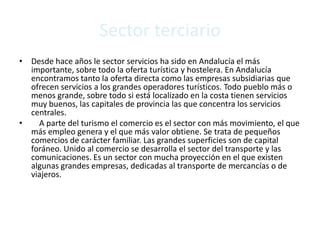 SECTOR TERCIARIO
