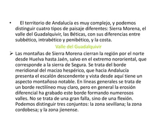     El territorio de Andalucía es muy complejo, y podemos distinguir cuatro tipos de paisaje diferentes: Sierra Morena, el valle del Guadalquivir, las Béticas, con sus diferencias entre subbético, intrabético y penibético, y la costa.Valle del GuadalquivirLas montañas de Sierra Morena cierran la región por el norte desde Huelva hasta Jaén, salvo en el extremo nororiental, que corresponde a la sierra de Segura. Se trata del borde meridional del macizo hespérico, que hacia Andalucía presenta el escalón descendente y vista desde aquí tiene un aspecto montañoso notable. En líneas generales se trata de un borde rectilíneo muy claro, pero en general la erosión diferencial ha grabado este borde formando numerosos valles. No se trata de una gran falla, sino de una flexión. Podemos distinguir tres conjuntos: la zona sevillana; la zona cordobesa; y la zona jienense.Valle del Guadalquivir