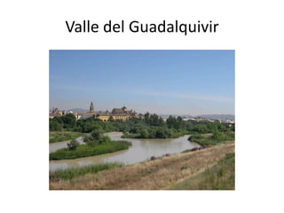 Sistema BéticoEl sistema Bético son unas  sierras muy complejas en las que se distinguen tres sectores: el subbético, el intrabético y el penibético. 