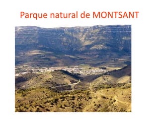 Parque natural de MONTSANT