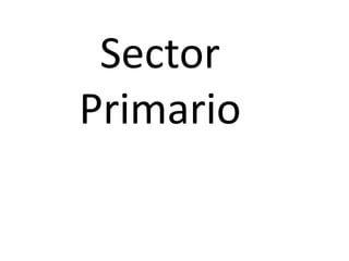 Sector Primario