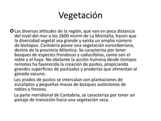 VegetaciónLas diversas altitudes de la región, que van en poca distancia del nivel del mar a los 2600 msnm de La Montaña, hacen que la diversidad vegetal sea grande y exista un amplio número de biotopos. Cantabria posee una vegetación eurosiberiana, dentro de la provincia Atlántica. Se caracteriza por tener bosques de especies frondosas y caducifolias, como son el roble y el haya. No obstante la acción humana desde tiempos remotos ha favorecido la creación de pastos, propiciando grandes superficies de pastizales y praderías que alimentan al ganado vacuno.    Los prados de pastos se intercalan con plantaciones de eucaliptos y pequeñas masas de bosques autóctonos de robles y fresnos.    La parte meridional de Cantabria, se caracteriza por tener un paisaje de transición hacia una vegetación seca.