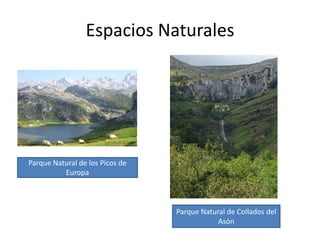 Espacios NaturalesParque Natural de los Picos de EuropaParque Natural de Collados del Asón