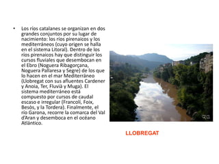 Los ríos catalanes se organizan en dos grandes conjuntos por su lugar de nacimiento: los ríos pirenaicos y los mediterráne...