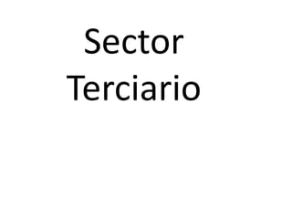 Sector Terciario<br />