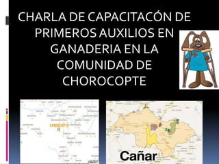 CHARLA DE CAPACITACÓN DE
  PRIMEROS AUXILIOS EN
    GANADERIA EN LA
     COMUNIDAD DE
      CHOROCOPTE
 