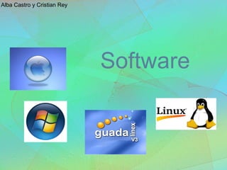 Software  Alba Castro y Cristian Rey 