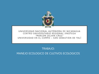 UNIVERSIDAD NACIONAL AUTÓNOMA DE NICARAGUA
CENTRO UNIVERSITARIO REGIONAL JINOTEGA
“MARLON ZEL AYA CRUZ”
UNIVERSIDAD EN EL CAMPO – SAN SEBASTIÁN DE YALÍ
TRABAJO:
MANEJO ECOLOGICO DE CULTIVOS ECOLOGICOS
 