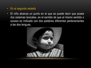 • En el segundo estadio
• El niño alcanza un punto en el que se puede decir que posee
dos sistemas lexicales, en el sentido de que el mismo sentido o
suceso es indicado con dos palabras diferentes pertenecientes
a las dos lenguas.
 