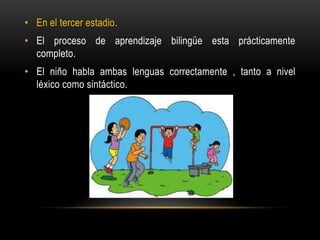 • En el tercer estadio.
• El proceso de aprendizaje bilingüe esta prácticamente
completo.
• El niño habla ambas lenguas correctamente , tanto a nivel
léxico como sintáctico.
 
