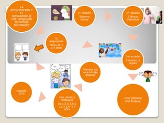 LA
ADQUISICION Y
EL
DESARROLLO
DEL LENGUAJE
EN NIÑOS
BILINGUES
La
adquisición
Niños de 1
a 4 años
Leopold
1970
Lisa ,Giulia y
Hildegard
De 1,5 a 3,6 y
1,2 a 2,6 y 7
años
Proceso de
aprendizaje
gradual
1er estadio
Sistema
lexical
2do estadio
2 léxicos
diferentes
3er estadio
2 léxicos, 2
reglas
Una persona
una lengua.
 