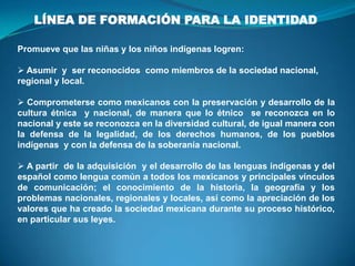 LÍNEA DE FORMACIÓN PARA LA IDENTIDAD
Promueve que las niñas y los niños indígenas logren:
 Asumir y ser reconocidos como miembros de la sociedad nacional,
regional y local.
 Comprometerse como mexicanos con la preservación y desarrollo de la
cultura étnica y nacional, de manera que lo étnico se reconozca en lo
nacional y este se reconozca en la diversidad cultural, de igual manera con
la defensa de la legalidad, de los derechos humanos, de los pueblos
indígenas y con la defensa de la soberanía nacional.
 A partir de la adquisición y el desarrollo de las lenguas indígenas y del
español como lengua común a todos los mexicanos y principales vínculos
de comunicación; el conocimiento de la historia, la geografía y los
problemas nacionales, regionales y locales, así como la apreciación de los
valores que ha creado la sociedad mexicana durante su proceso histórico,
en particular sus leyes.
 