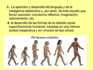 3.  La aparición y desarrollo del lenguaje y de la inteligencia abstractiva y, por tanto, de todo aquello que llevan asociado: conciencia reflexiva, imaginación, razonamiento, etc. 4.  el desarrollo de las formas de la relación social específicamente humanas, basadas en una intensa actitud cooperativa y en vínculos de tipo actual. 