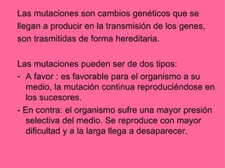 Las mutaciones son cambios genéticos que se  llegan a producir en la transmisión de los genes,  son trasmitidas de forma hereditaria. Las mutaciones pueden ser de dos tipos: A favor : es favorable para el organismo a su medio, la mutación continua reproduciéndose en los sucesores. - En contra: el organismo sufre una mayor presión selectiva del medio. Se reproduce con mayor dificultad y a la larga llega a desaparecer. 
