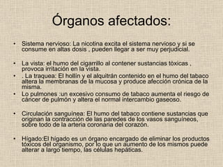 Órganos afectados: Sistema nervioso: La nicotina excita el sistema nervioso y si se consume en altas dosis , pueden llegar a ser muy perjudicial. La vista: el humo del cigarrillo al contener sustancias tòxicas , provoca irritación en la vista. . La traquea: El hollín y el alquitrán contenido en el humo del tabaco altera la membranas de la mucosa y produce afección crónica de la misma. Lo pulmones :un excesivo consumo de tabaco aumenta el riesgo de cáncer de pulmón y altera el normal intercambio gaseoso. Circulación sanguínea: El humo del tabaco contiene sustancias que originan la contracción de las paredes de los vasos sanguíneos, sobre todo de la arteria coronaria del corazón. Hígado:El hígado es un órgano encargado de eliminar los productos tóxicos del organismo, por lo que un aumento de los mismos puede alterar a largo tiempo, las células hepáticas. . 